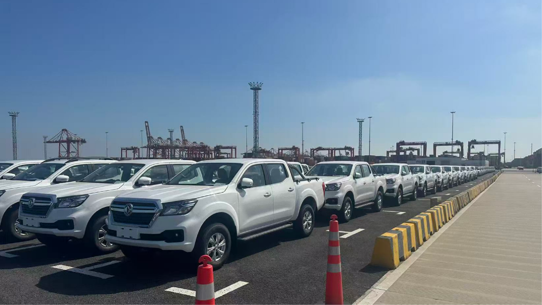 Massive fleet of pickup trucks lined up at port terminal for Ro-Ro export shipping to Africa